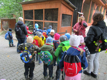 img-3665.JPG