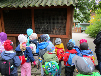 img-3670.JPG