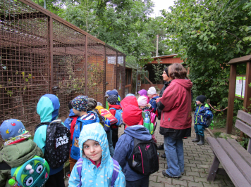 img-3671.JPG