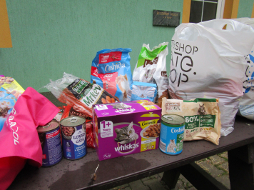 img-1603.JPG