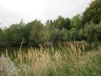 img-1627.JPG
