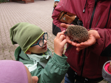 img-1661.JPG