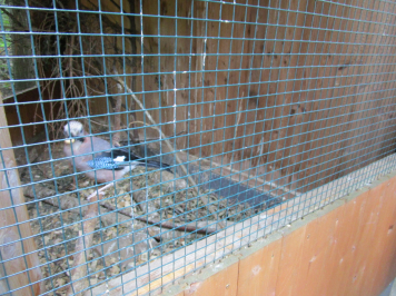 img-1664.JPG