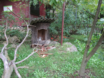 img-1673.JPG