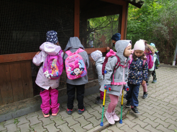 img-1676.JPG