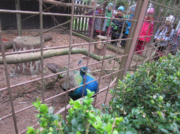 img-1680.JPG