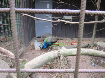 img-1681.JPG