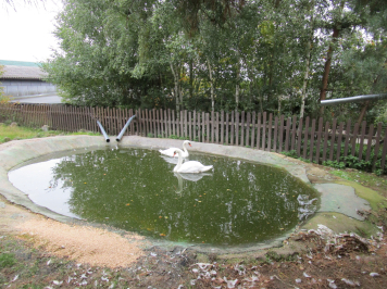 img-1683.JPG