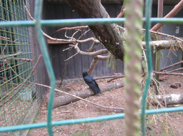 img-1686.JPG