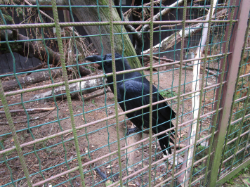 img-1689.JPG