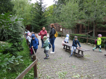 img-1690.JPG