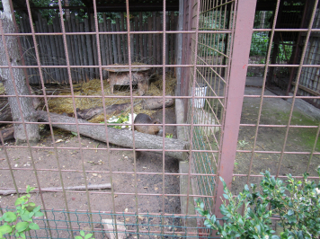 img-1697.JPG