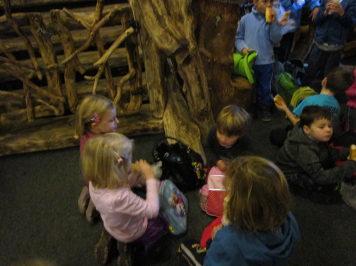 img-4284.JPG