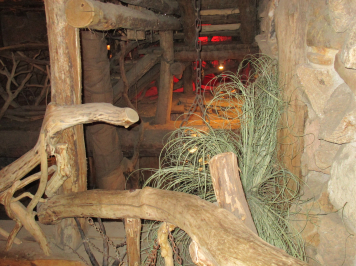 img-4362.JPG