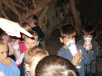 img-4367.JPG