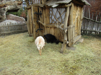 img-4423.JPG