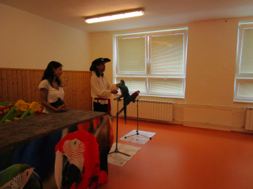 img-3531.JPG