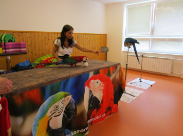img-3537.JPG