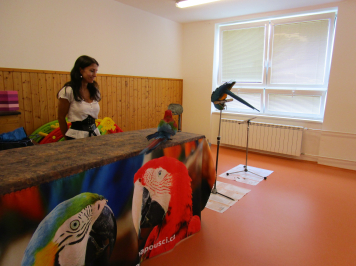 img-3538.JPG