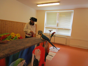 img-3539.JPG