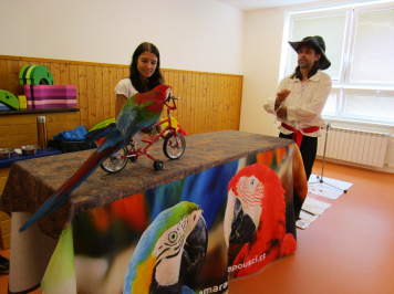 img-3543.JPG