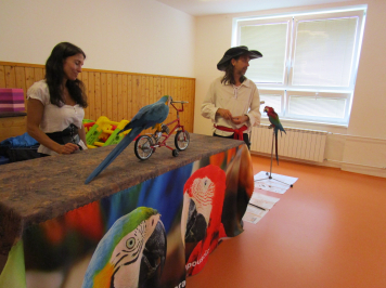img-3546.JPG