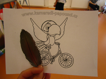 img-3549.JPG