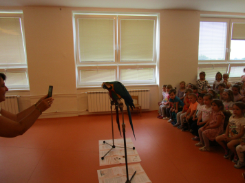 img-3551.JPG