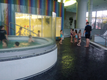 p-20190107-084917.jpg