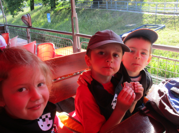 img-3495.JPG