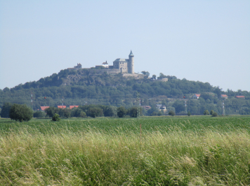 img-6186.JPG