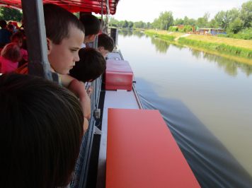 img-6195.JPG