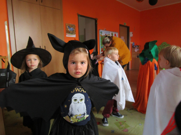img-0019.JPG