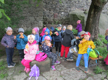 img-0919.JPG