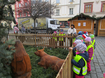 img-4695.JPG