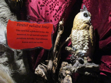 img-4756.JPG