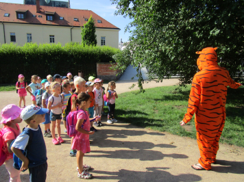 img-3535.JPG