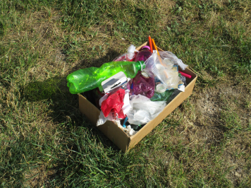 img-3556.JPG