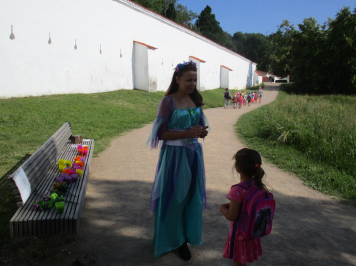 img-3558.JPG