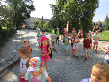 img-3575.JPG