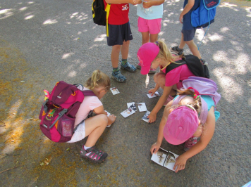 img-3578.JPG