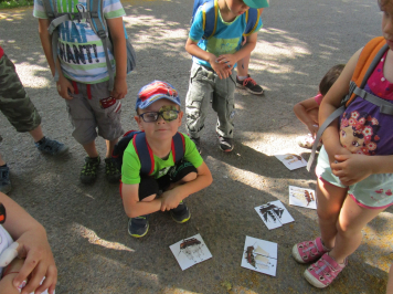 img-3580.JPG