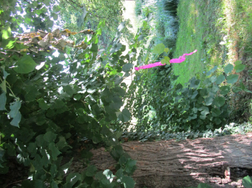 img-3605.JPG