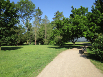 img-6382.JPG