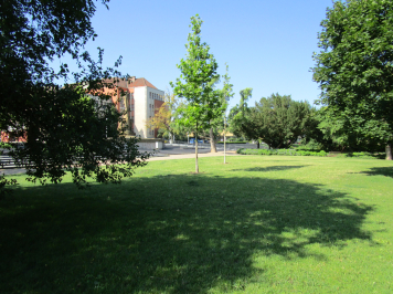 img-6383.JPG