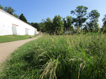 img-6394.JPG