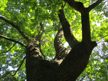 img-6428.JPG