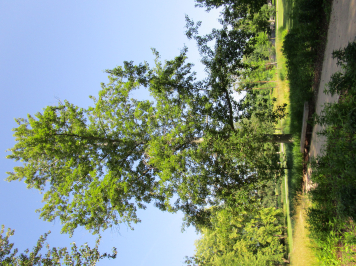 img-6429.JPG