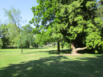 img-6437.JPG