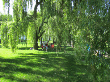 img-6438.JPG